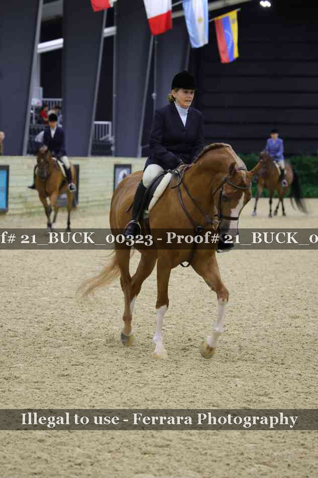 Proof 21_BUCK_00323