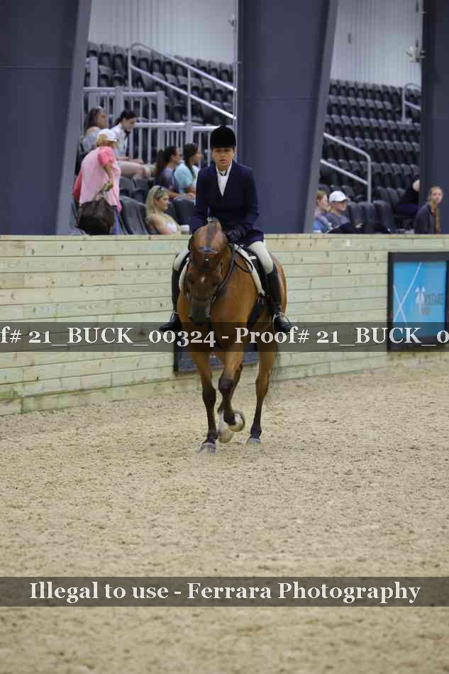 Proof 21_BUCK_00324