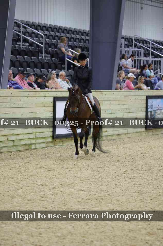 Proof 21_BUCK_00325