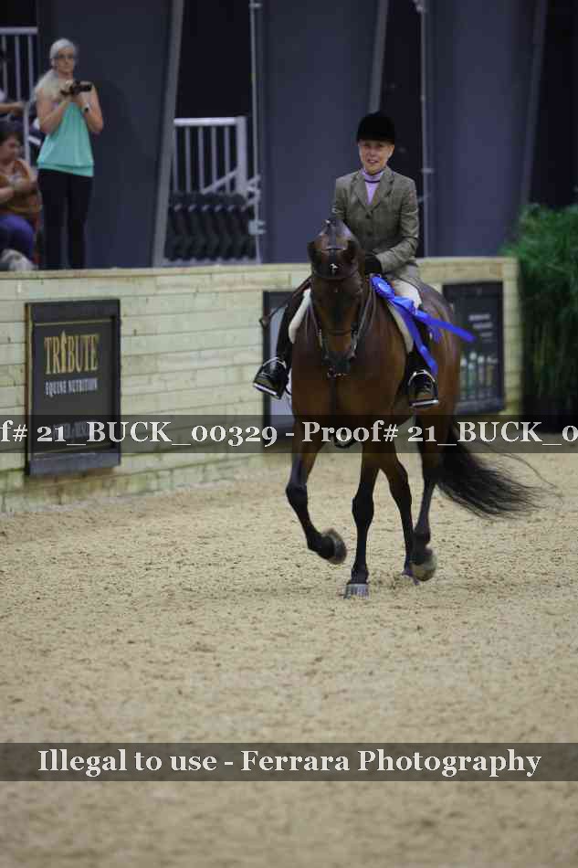 Proof 21_BUCK_00329