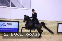 21_BUCK_00330 proof