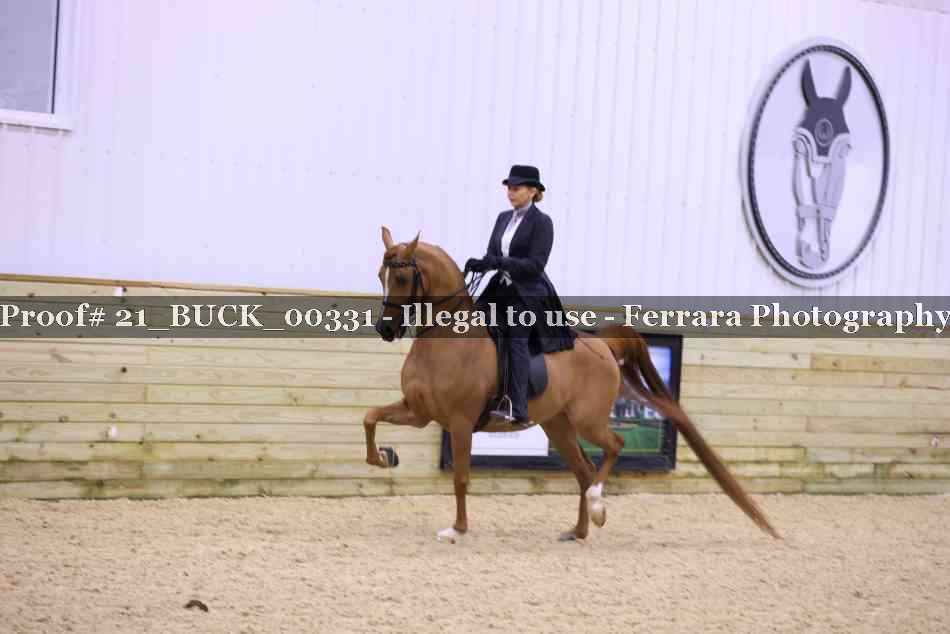 Proof 21_BUCK_00331