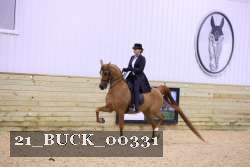 21_BUCK_00331 proof
