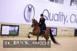 21_BUCK_00332 proof
