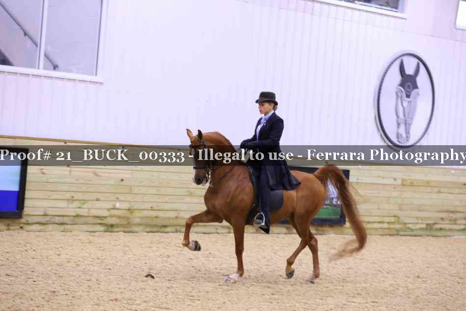 Proof 21_BUCK_00333
