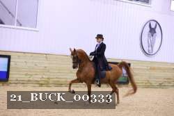 21_BUCK_00333 proof