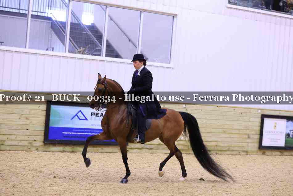 Proof 21_BUCK_00334