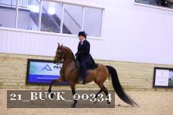 21_BUCK_00334 proof