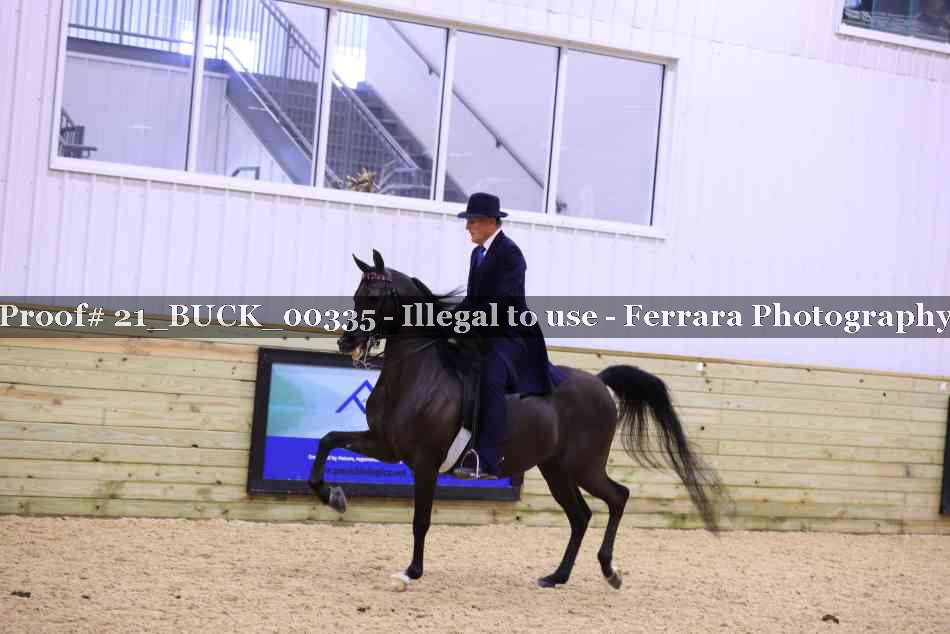 Proof 21_BUCK_00335