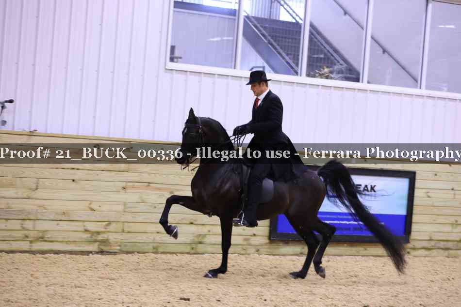 Proof 21_BUCK_00336