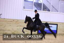 21_BUCK_00336 proof