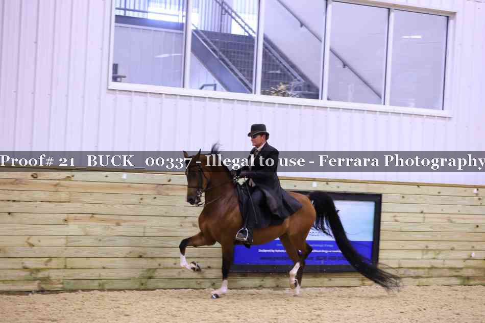 Proof 21_BUCK_00337