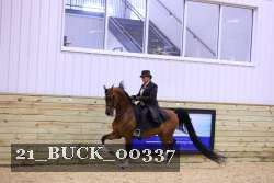 21_BUCK_00337 proof