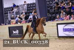 21_BUCK_00338 proof