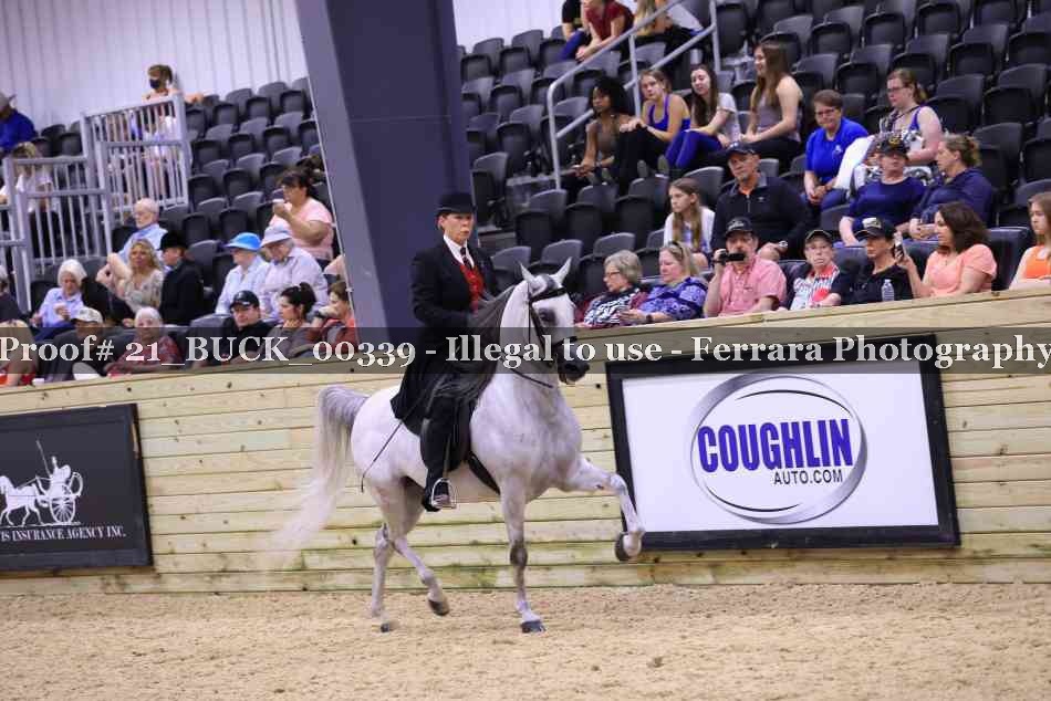 Proof 21_BUCK_00339