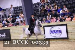 21_BUCK_00339 proof