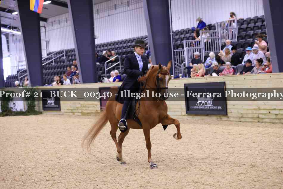 Proof 21_BUCK_00340