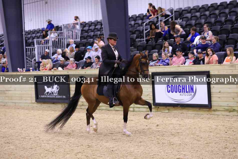 Proof 21_BUCK_00341