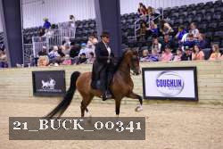 21_BUCK_00341 proof