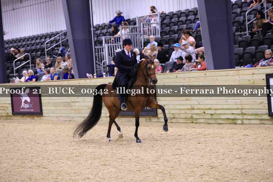 Proof 21_BUCK_00342