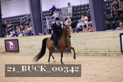21_BUCK_00342 proof