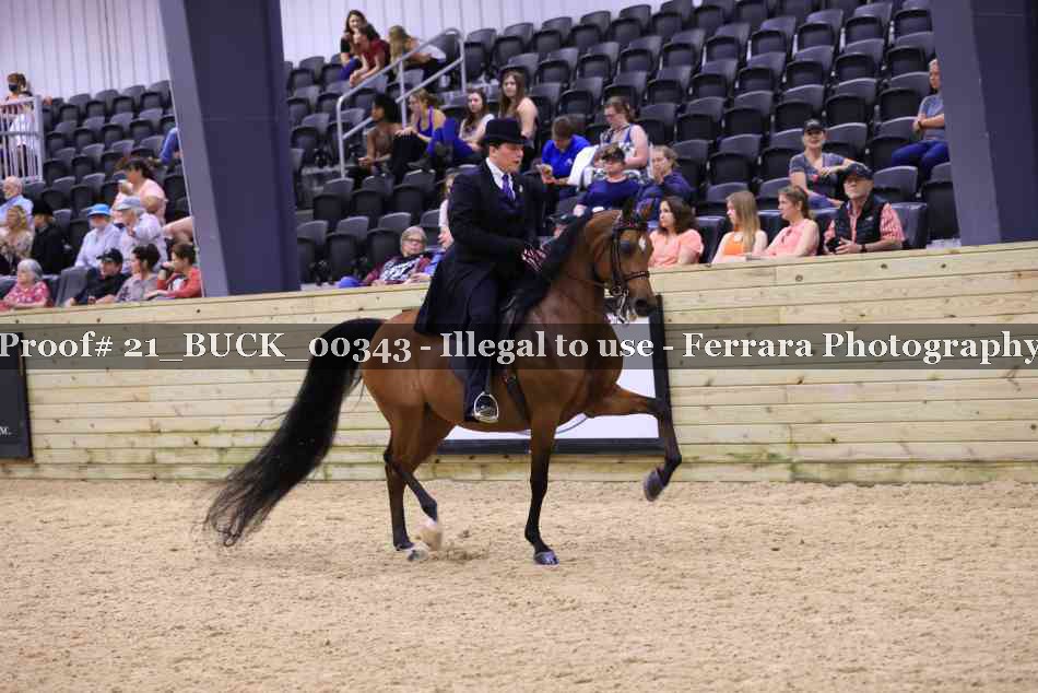 Proof 21_BUCK_00343