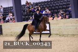 21_BUCK_00343 proof