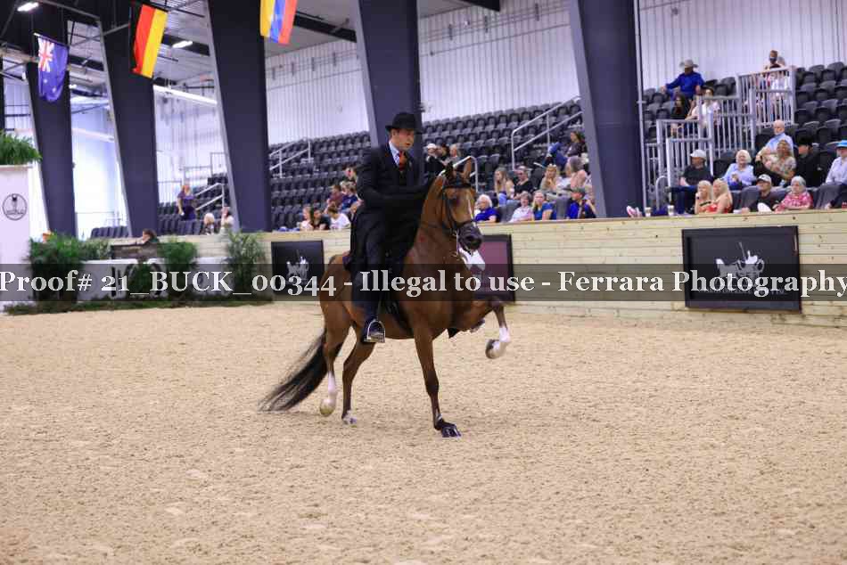 Proof 21_BUCK_00344