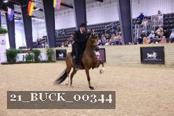 21_BUCK_00344 proof