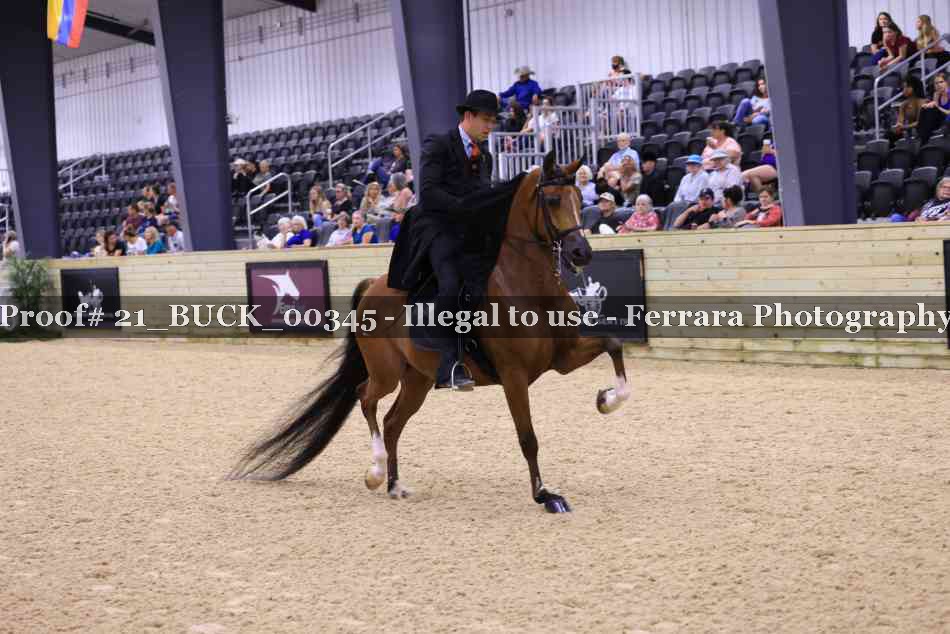 Proof 21_BUCK_00345