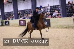21_BUCK_00345 proof