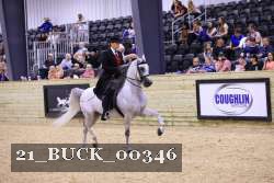 21_BUCK_00346 proof