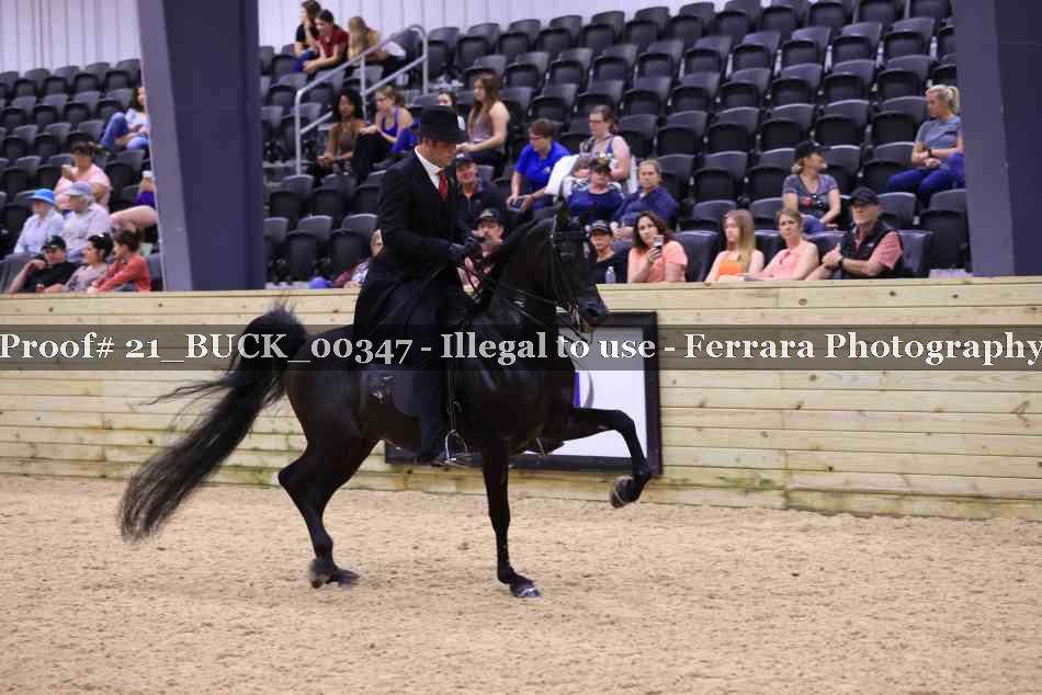 Proof 21_BUCK_00347
