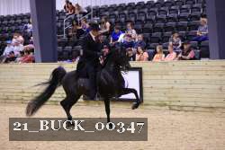 21_BUCK_00347 proof