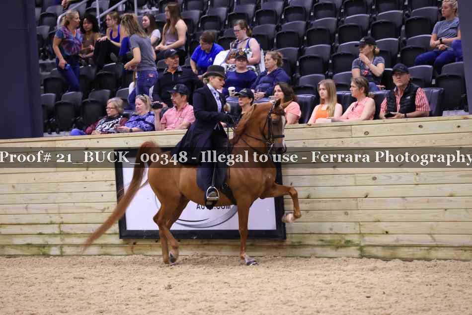 Proof 21_BUCK_00348