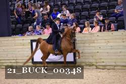 21_BUCK_00348 proof