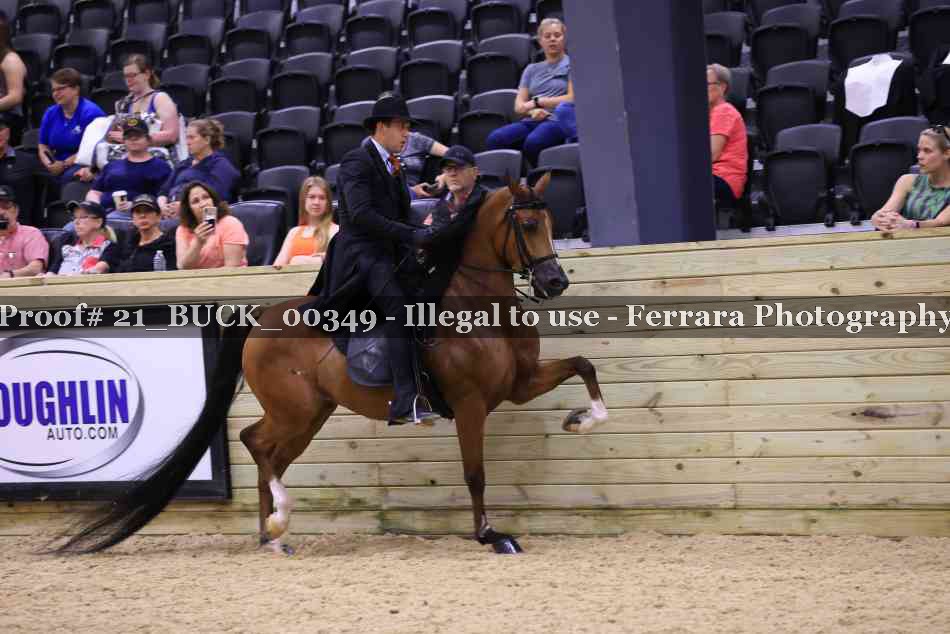 Proof 21_BUCK_00349