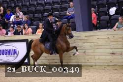 21_BUCK_00349 proof