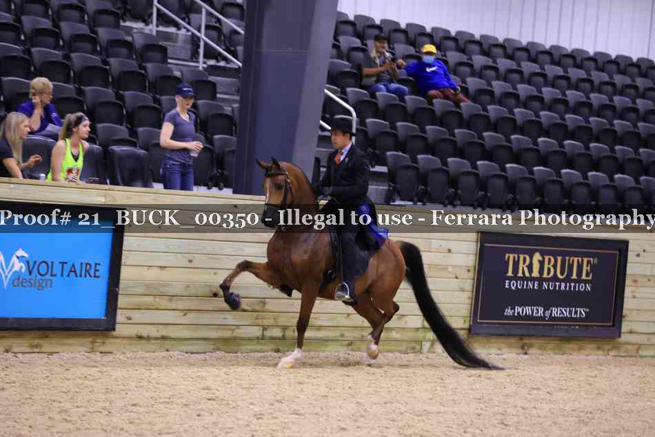 Proof 21_BUCK_00350