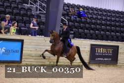 21_BUCK_00350 proof