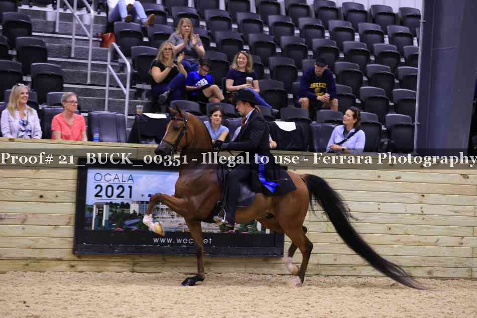 Proof 21_BUCK_00351