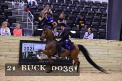 21_BUCK_00351 proof