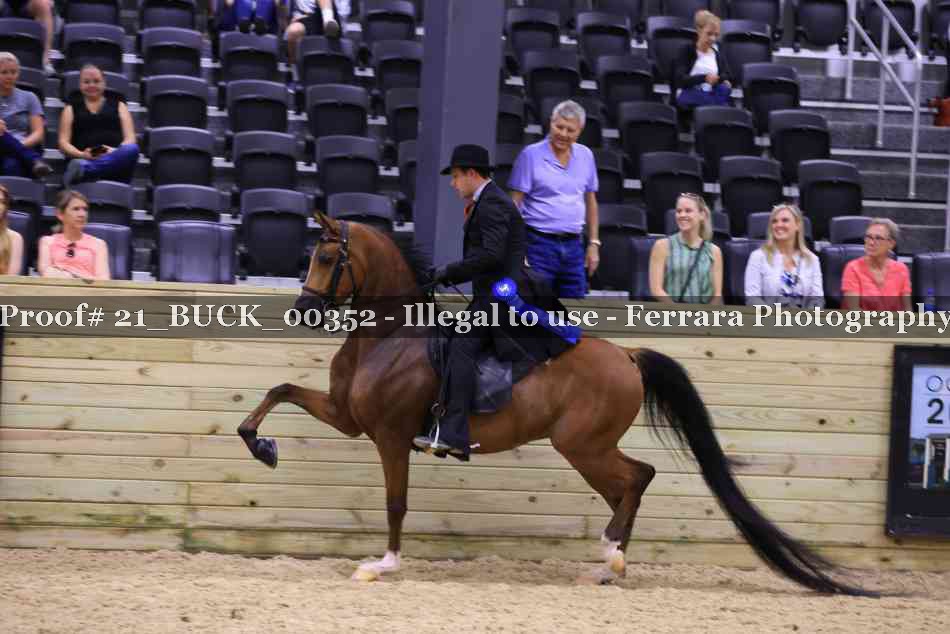 Proof 21_BUCK_00352