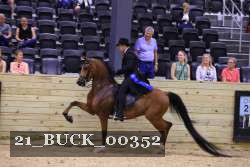 21_BUCK_00352 proof