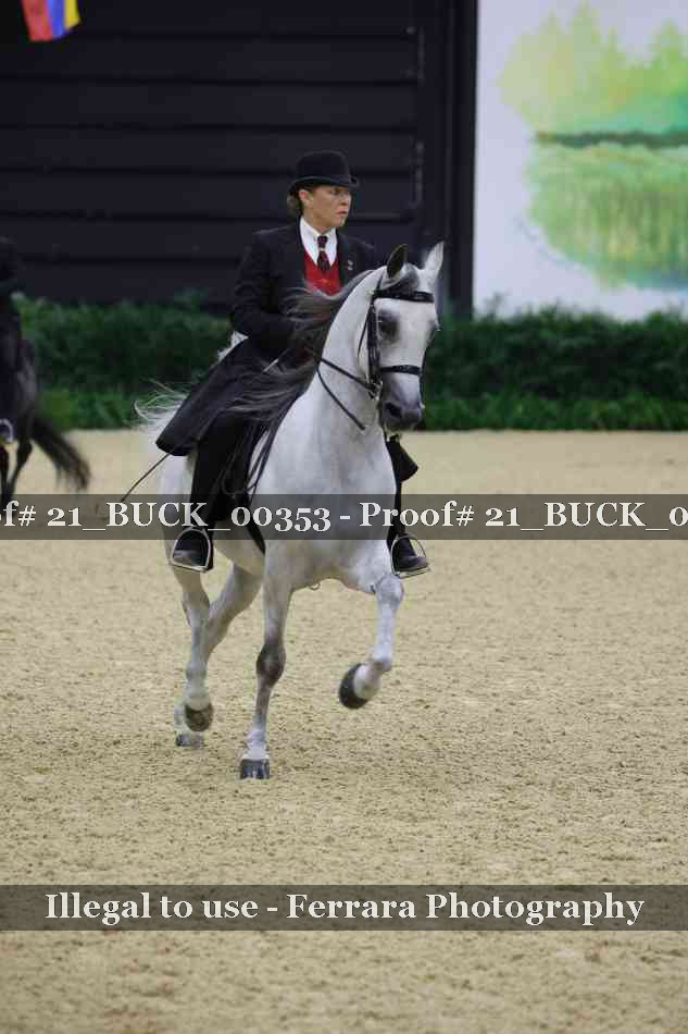 Proof 21_BUCK_00353
