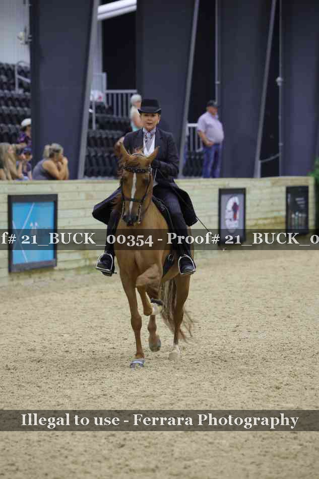 Proof 21_BUCK_00354