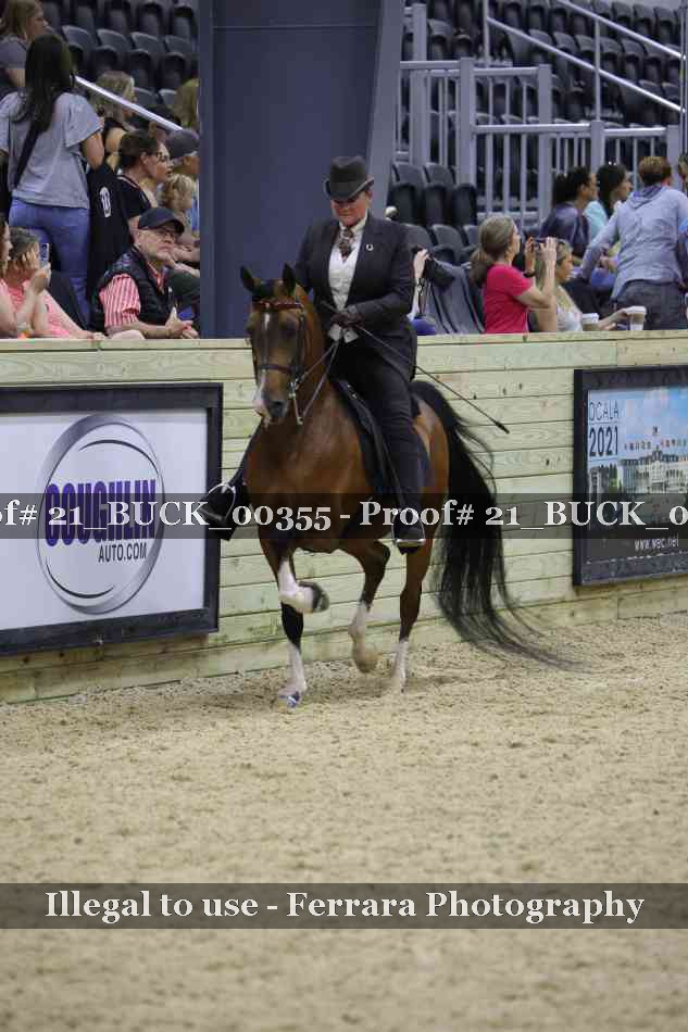 Proof 21_BUCK_00355