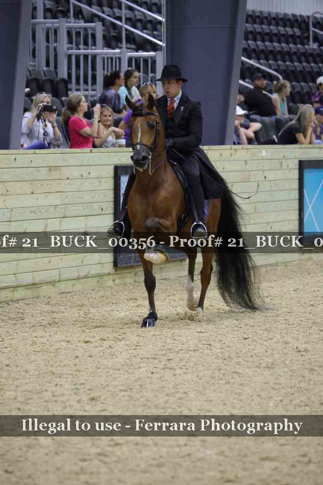 Proof 21_BUCK_00356