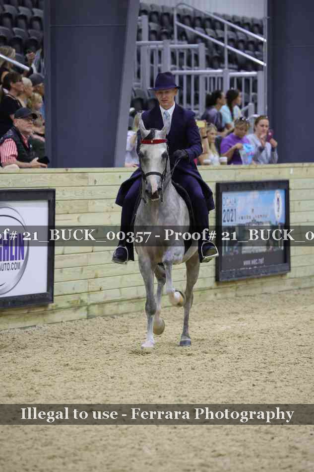 Proof 21_BUCK_00357