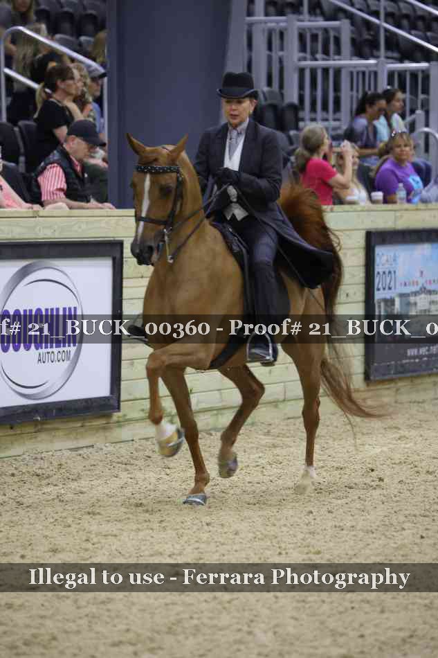 Proof 21_BUCK_00360